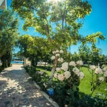 Тихая Гавань. Sunny Beach